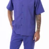 Purple Tone On Tone Vertical Stripes Walking Suit 2 Piece Short Sleeve Set