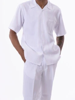 White Tone On Tone Striped Walking Suit 2 Piece Short Sleeve Set