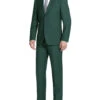 Vanderbilt Collection- Classic 2 Piece Suit 2 Buttons Regular Fit In Green