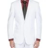 Vanderbilt Collection - Classic 2 Piece Suit 2 Buttons Regular Fit In White