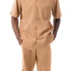 Tan Tone On Tone Striped Walking Suit 2 Piece Short Sleeve Set With Shorts
